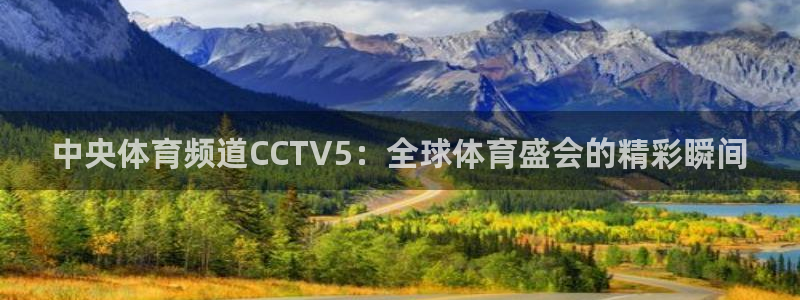 nba火凤直播：中央体育频道CCTV5：全球体育盛会的精彩瞬间