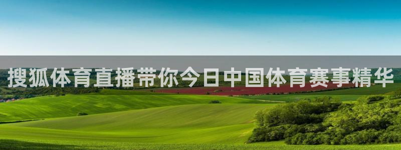 火凤直播足球：搜狐体育直播带你今日中国体育赛事精华