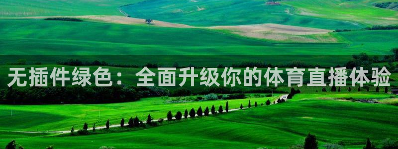 火凤足球直播免费观看：无插件绿色：全面升级你的体育直播体验