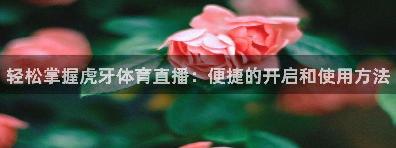 火凤体育：轻松掌握虎牙体育直播：便捷的开启和使用方法