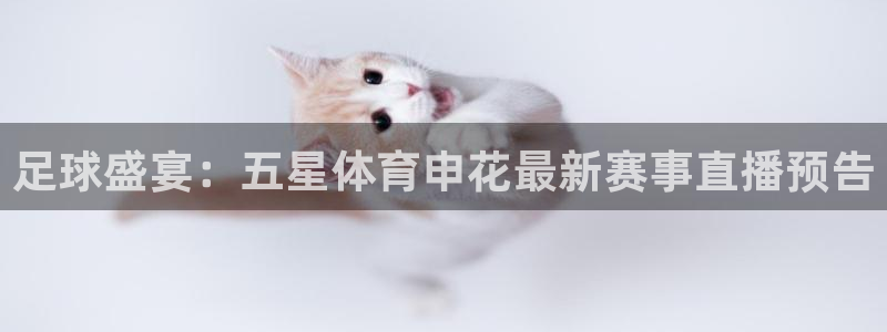 火凤体育免费直播入口：足球盛宴：五星体育申花最新赛事直播预告