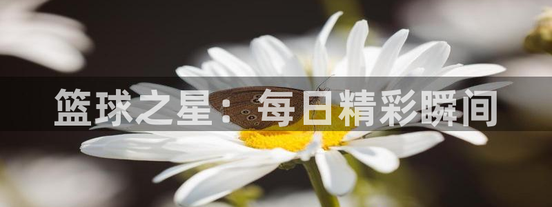 火凤直播nba：篮球之星：每日精彩瞬间