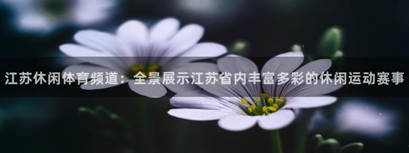 火凤免费观看体育直播：江苏休闲体育频道：全景展示江苏省内丰富多彩的休闲运动赛事