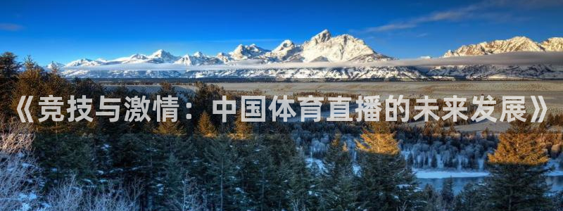 火凤直播体育官网入口在线观看：《竞技与激情：中国体育直播的未来发展》