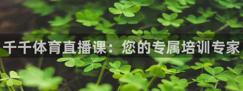 火凤直播体育官网入口在线观看：千千体育直播课：您的专属培训专家