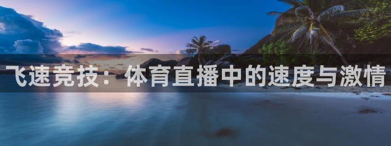 火凤直播足球免费观看：飞速竞技：体育直播中的速度与激情